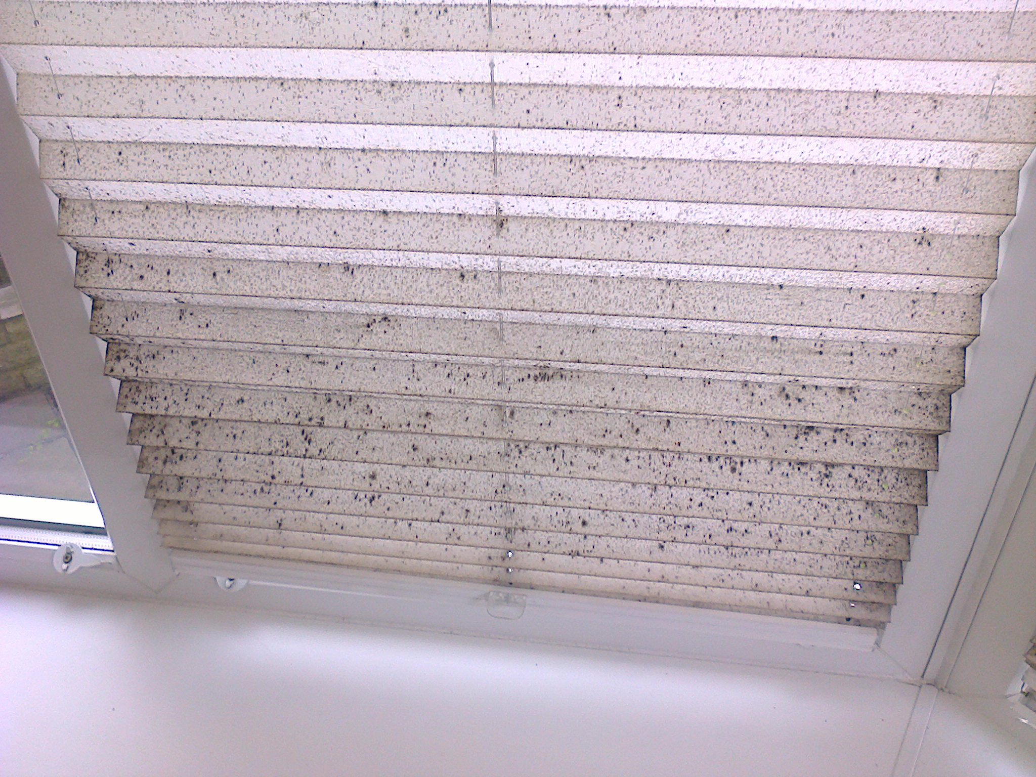 Conservatory Window Pleated Shade Clean Domestic (Before)
