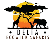 Delta Ecowild Safaris