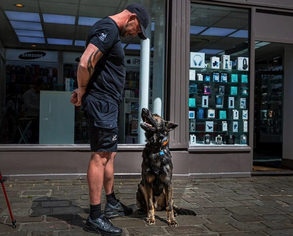 Obedience Training