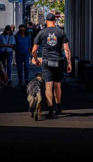 OBEDIENCE TRAINING AND BEHAVIOUR MODIFICATION